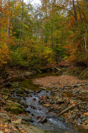 Scott Trail